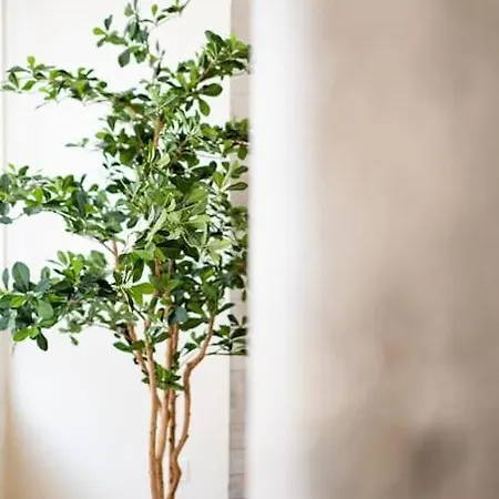 Mirakruz Zurriola With Ac 아파트 산세바스티안